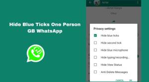 A Guide To Hide Blue Ticks In GbWhatsApp